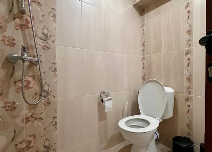 Къща за гости Romano Ваканционна къща Чепеларе